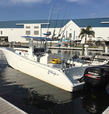 yellowfin.jpg