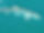1186225_1418146508411145_707887371_n.jpg