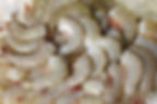 ★ Camaròn Mediano 31-35