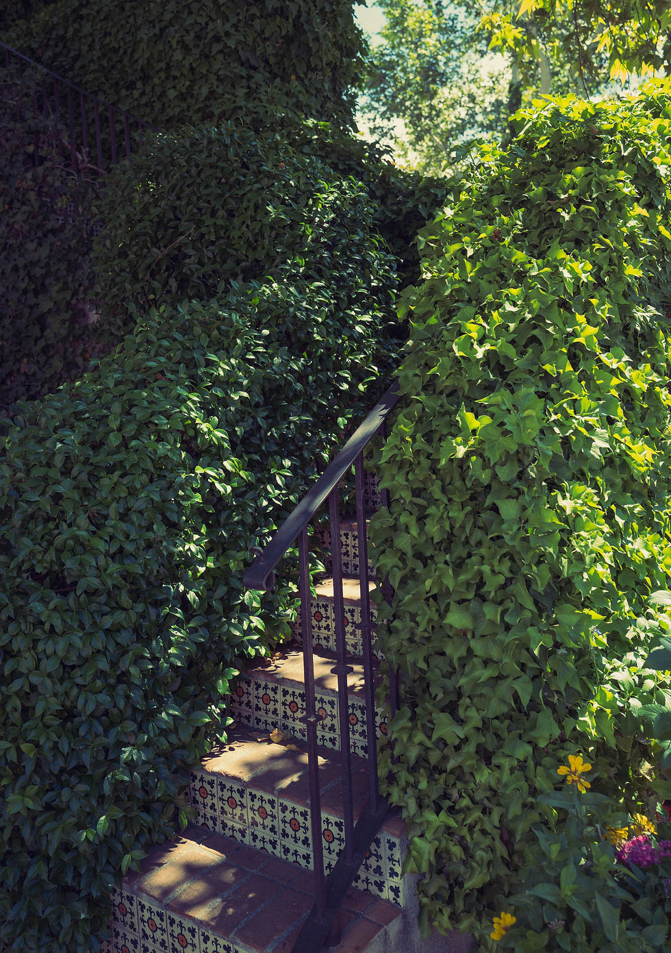 Learning Lightroom Classic and Colour tweaks