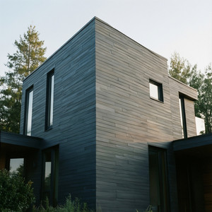 Durable Cladding for Modern Homes