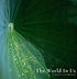 The World In Us - Francis Goodhand.jpeg