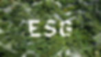 ESG