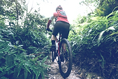 apps-para-hacer-rutas-en-bici_edited.png