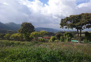 PARQUE ARQUEOLOGICO OZAGUA