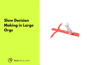 Slow Decision Making in Large Orgs