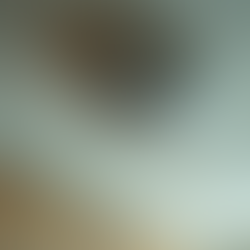 Why Smoke Detector Servicing is Essential