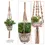 Thumbnail: Hanging Plant Holder Collection