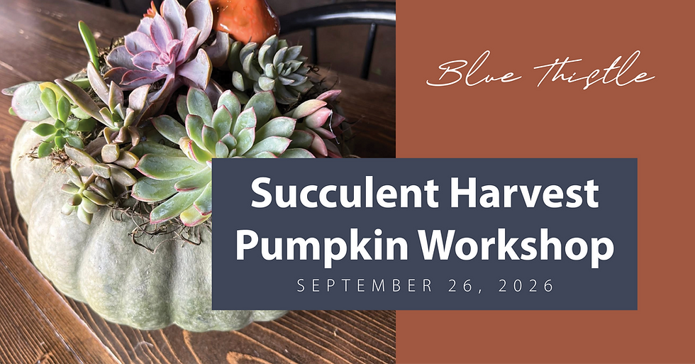Pumpkin Succulent Workshop @Buffalo Ridge Brewing