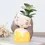 Thumbnail: Succulent Flower Pots Lovely Girl Head Bonsai Planter