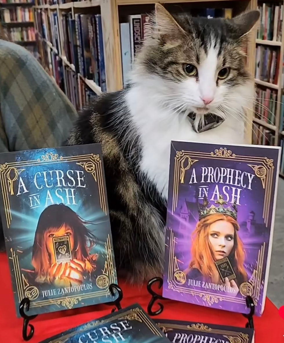 Cupboard Maker Books, Live Work Play, books and cat, bookstore cat, A Curse in Ash, A Prophecy in Ash,