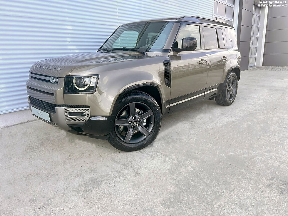 DEFENDER 110 3.0D I6 250 CP AWD Auto MHEV X-Dynamic SE 1