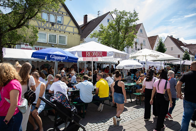 2014-07-13 - Stadt Ebersbach - Stadtfest-6583 - Kopie.jpg