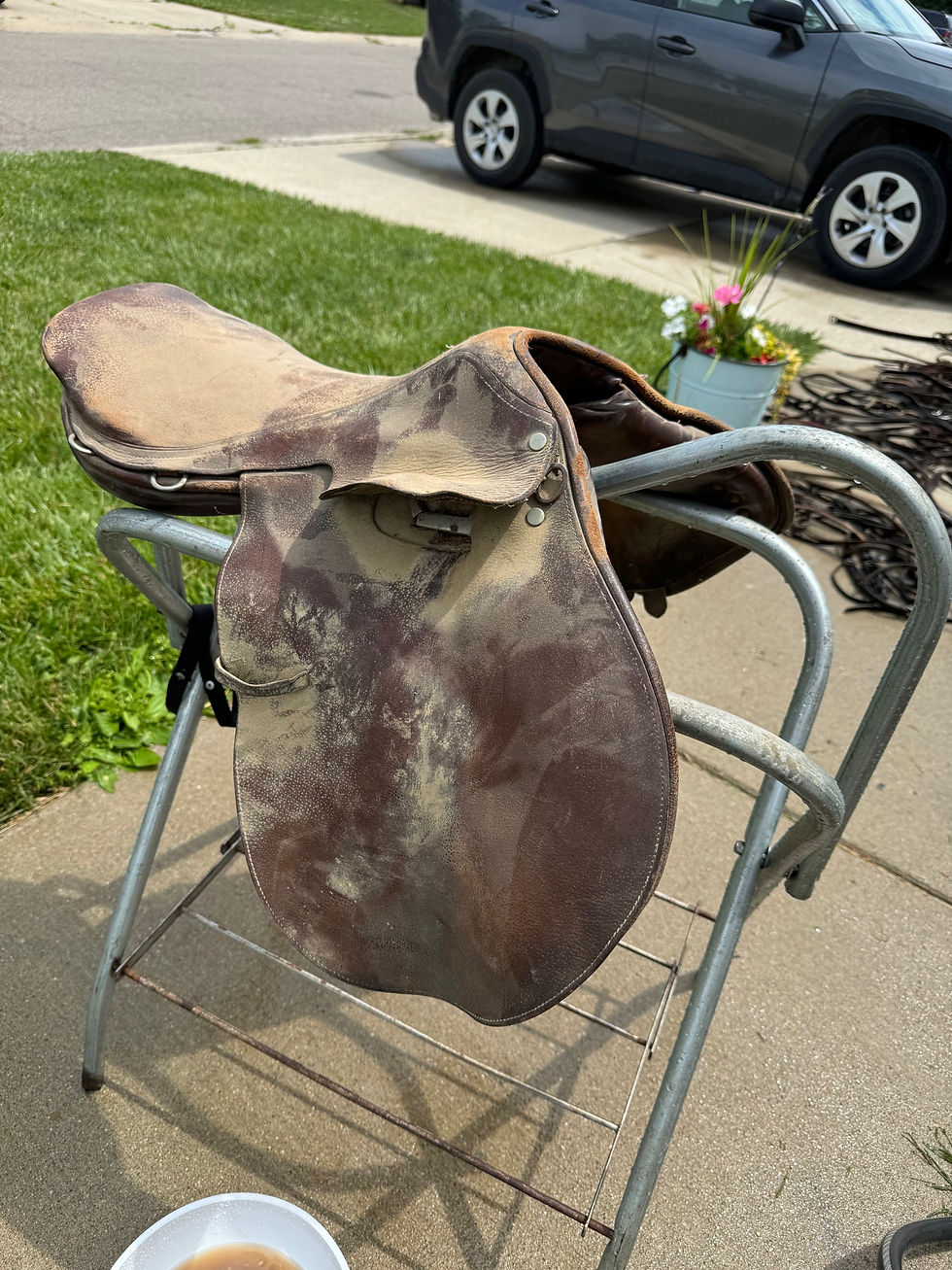 Leather Cleaning