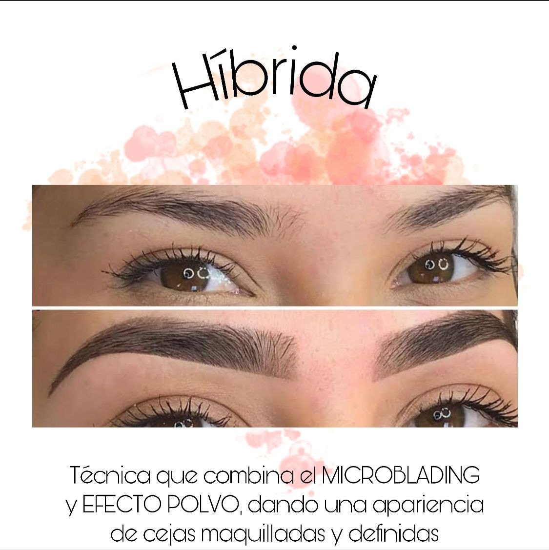 Hibrida