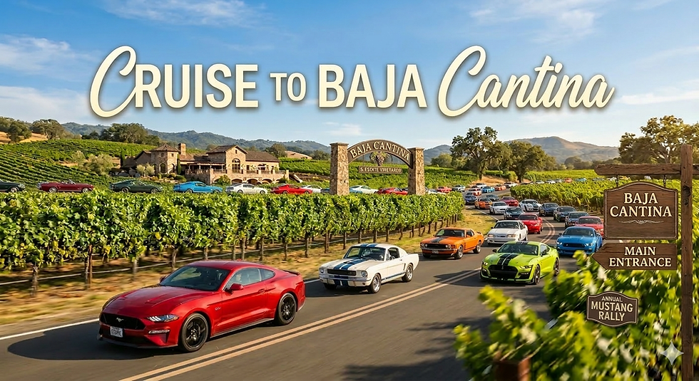 Cruise to Baja Cantina
