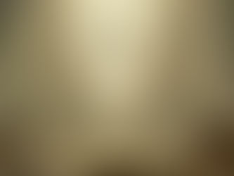 About Evolution According to Theosophy