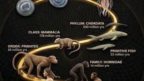 Evolution