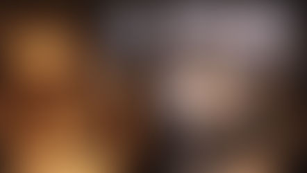 The Chinese New Year