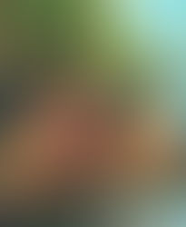 HOW DOES OUR REALITY ARISE?