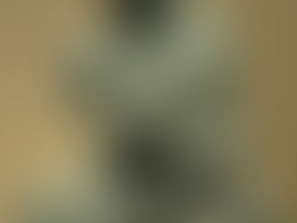 Śūnyatā or Emptiness