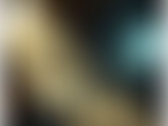 PLATO'S MYTH OF THE CAVE