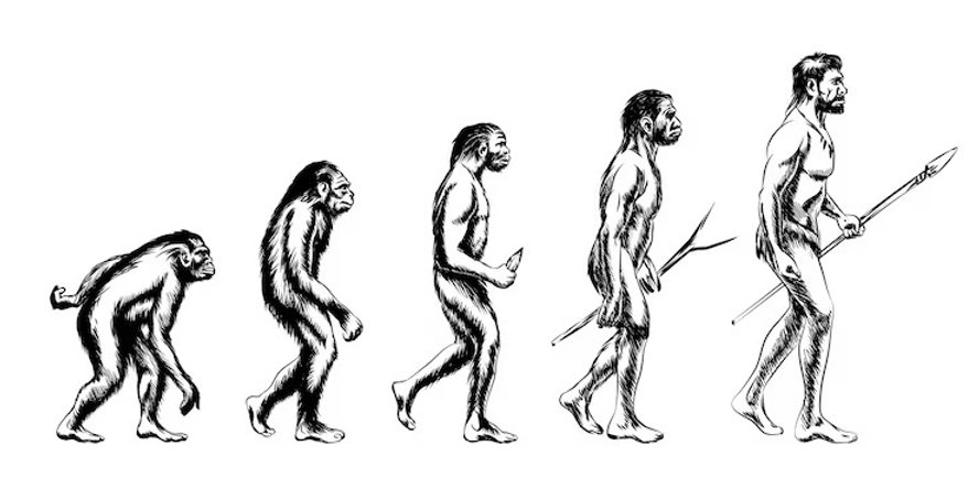 Human Inception Origin of human kind: Alternative story of the beginning