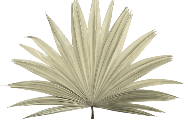 Untitled design (4).png