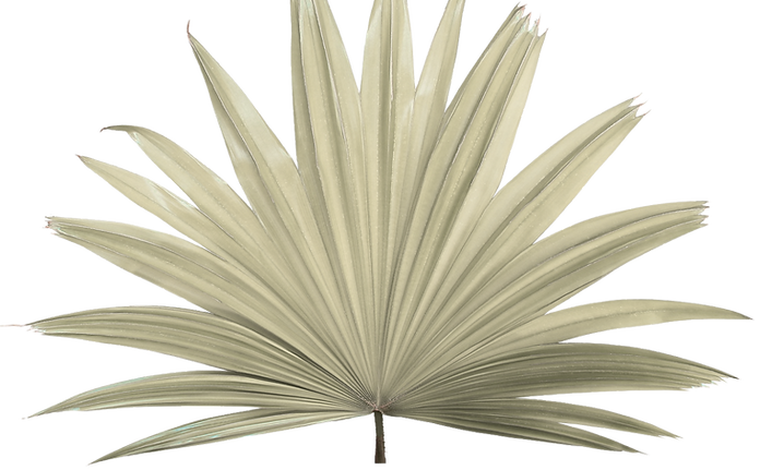 Untitled design (4).png