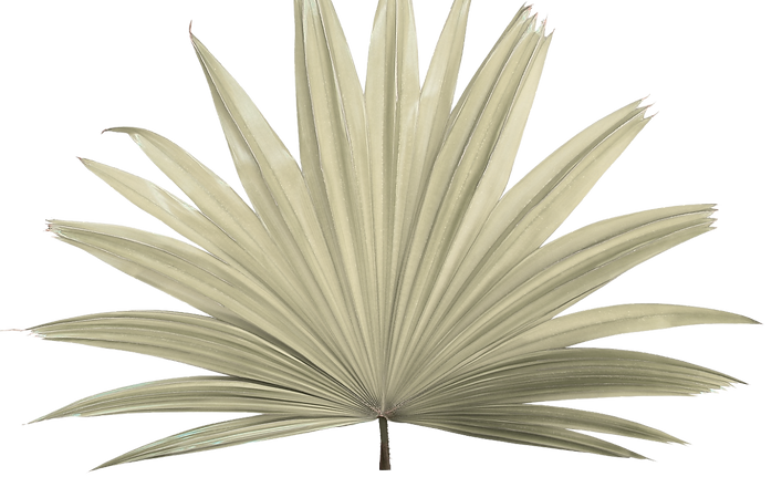 Untitled design (4).png