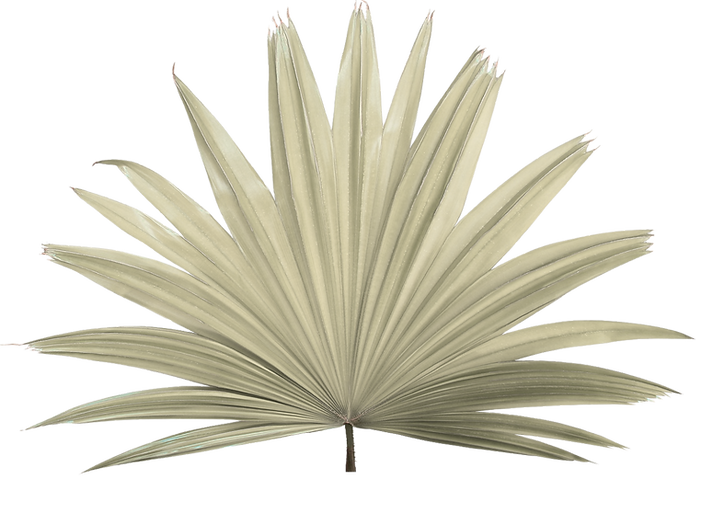 Untitled design (4).png