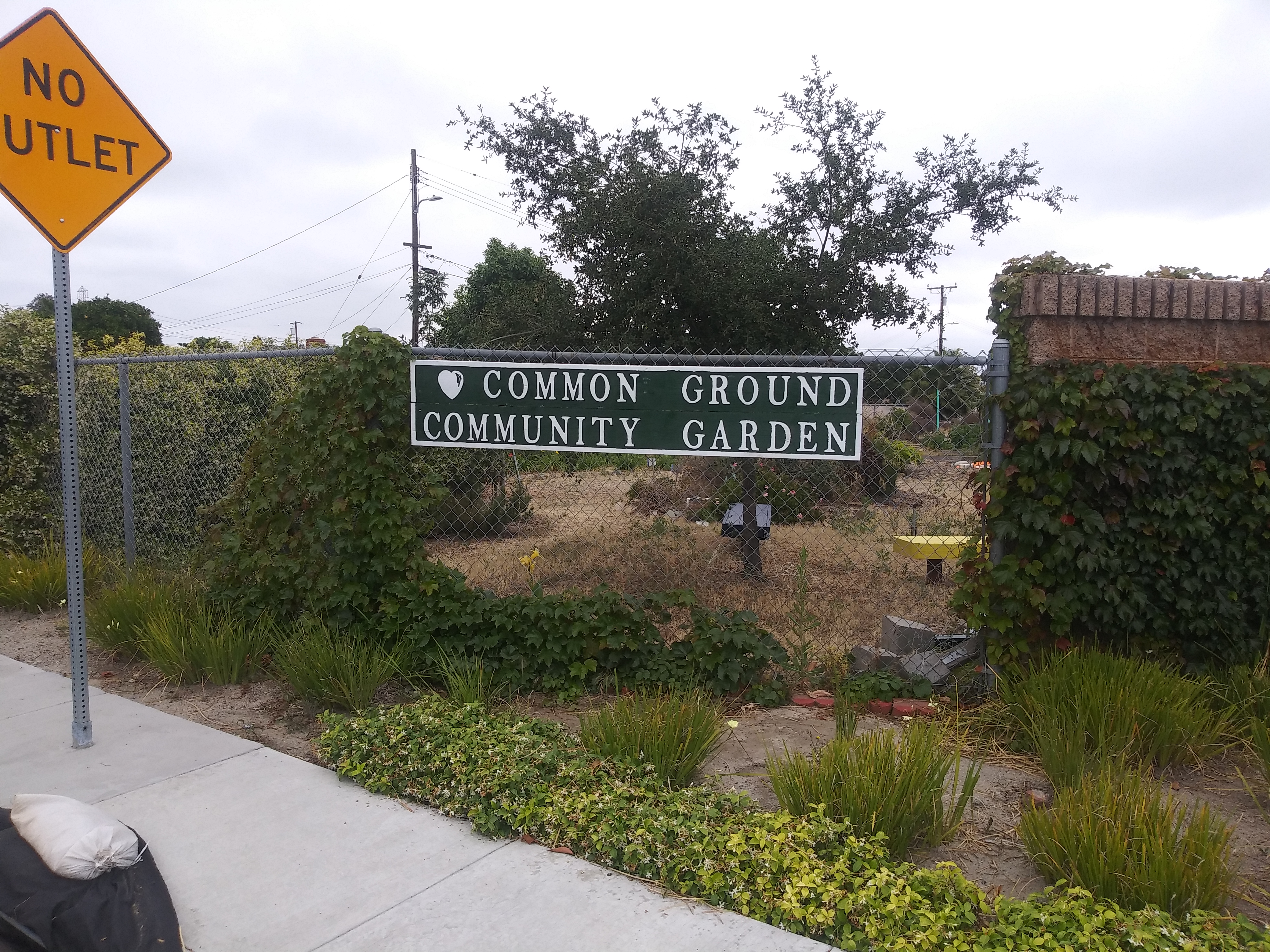Writer: Common Ground Community Garden
