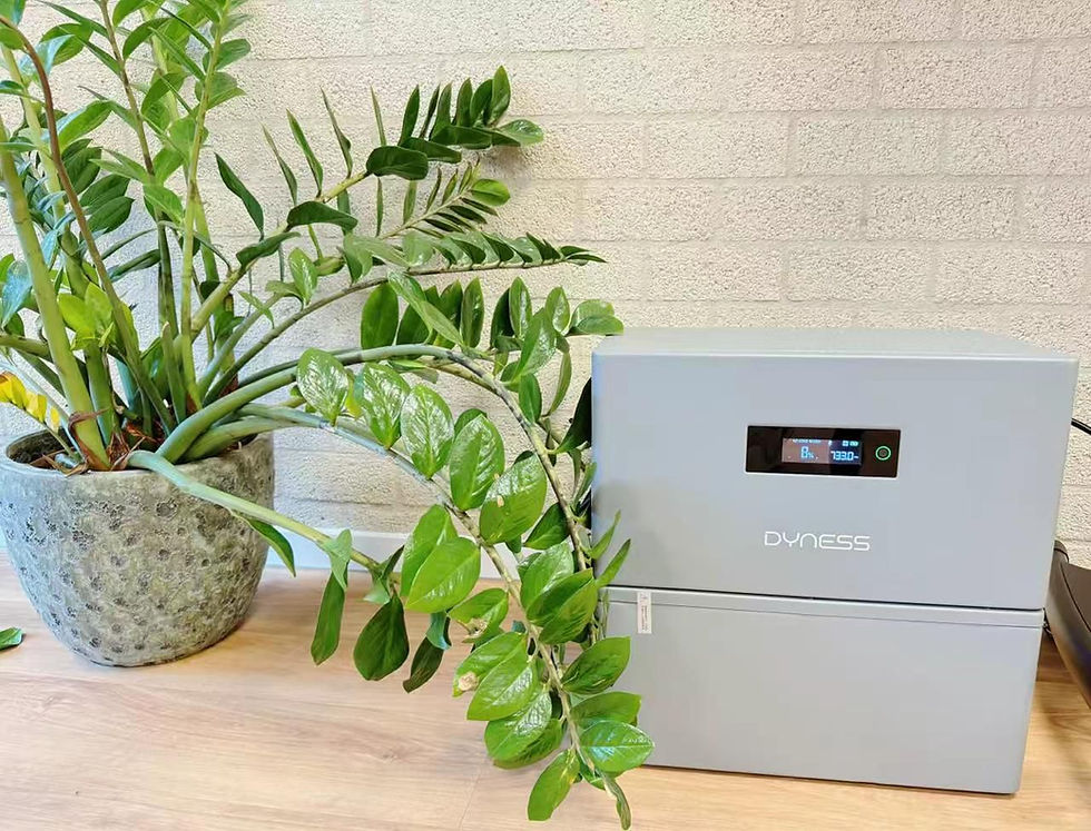 WhatsApp Image 2026-02-19 at 11.12.29.jpeg