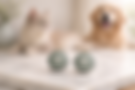 pet-id.png