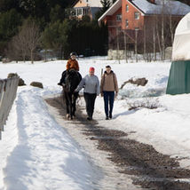 Дети и их родители были приглашены в конный клуб "Сивка" на экскурсию и занятие по иппотерапии