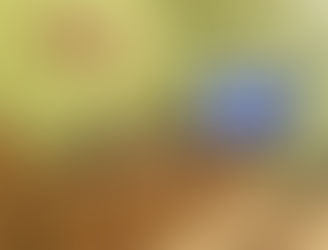 Как организовать уход за маломобильным человеком на дому?