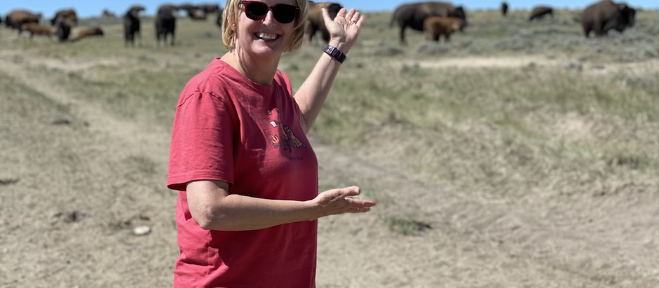 Why Wyoming?... 'Cuz it's Beauteous (& the BISON)!