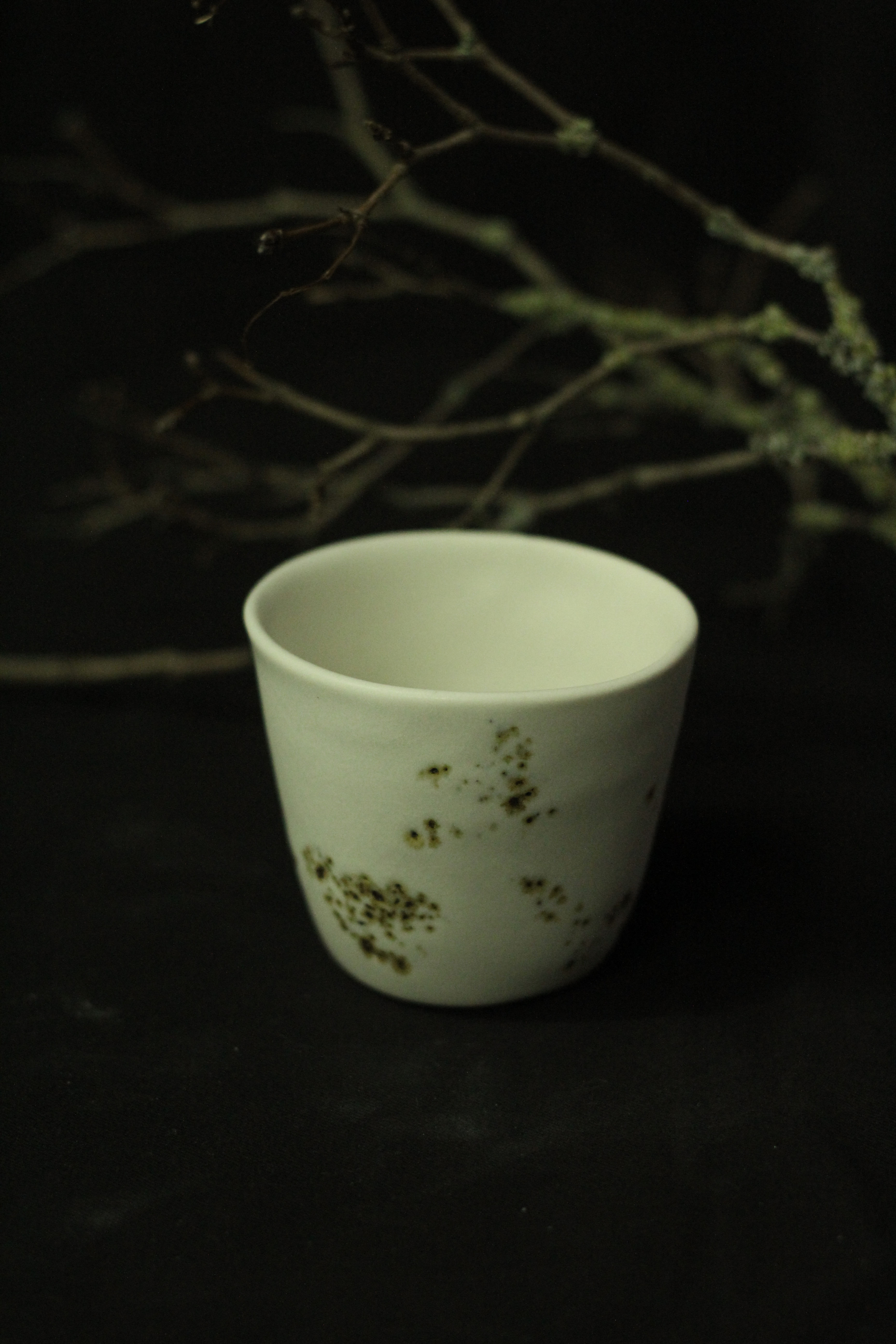 Landscape Cup Iceland