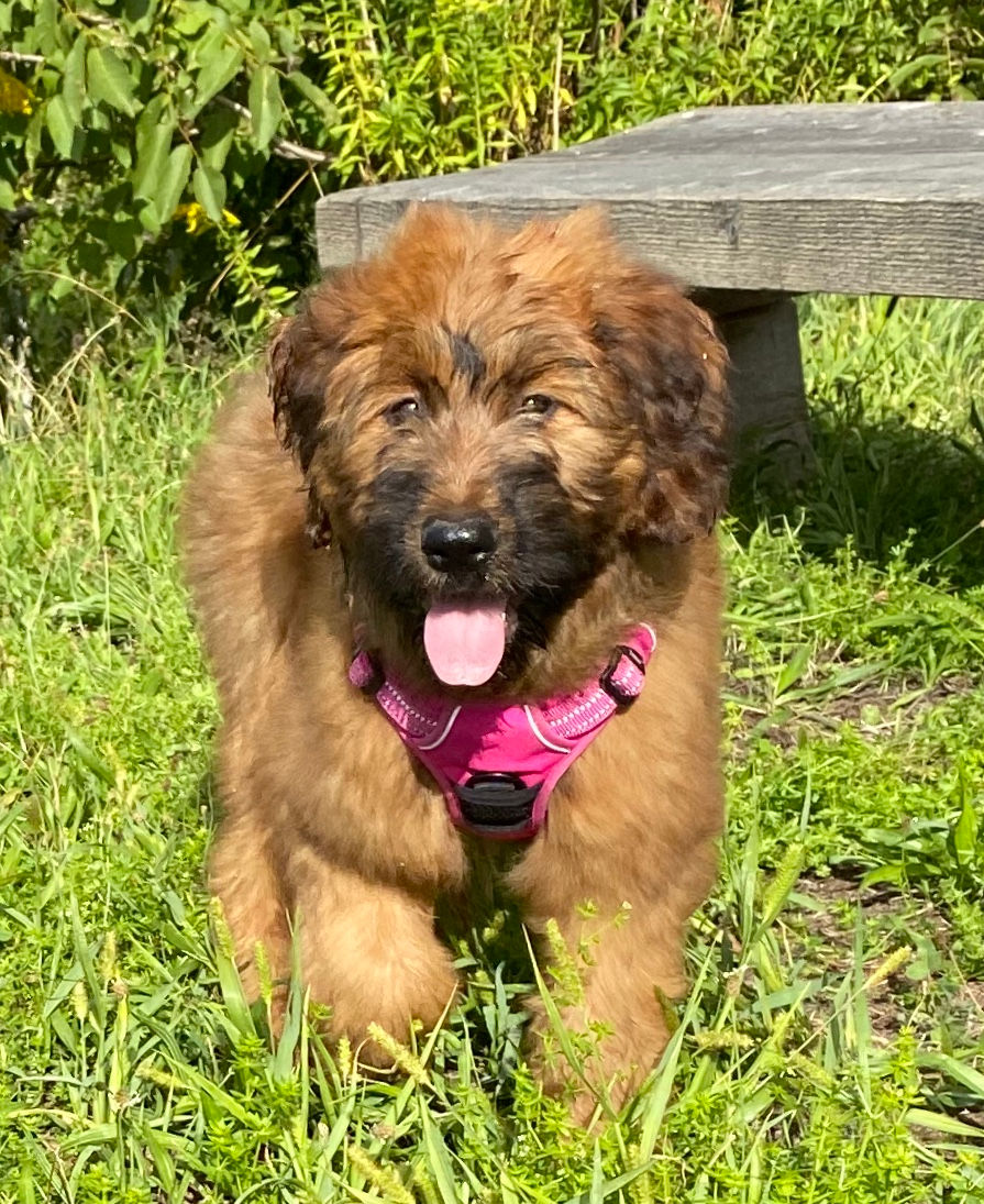 A kind of magic "Lucy" bleibt bei uns