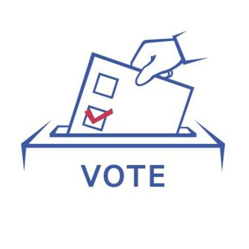 SD PL8S Voting Icon