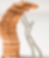 Untitled design - 2025-01-03T085659.075.png