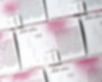 Thumbnail: Field Notes (Index_23): Issue 08