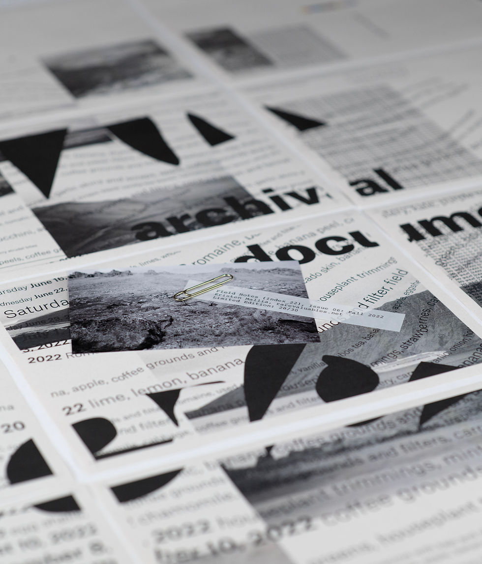 Thumbnail: Field Notes (Index_22): Issue 06