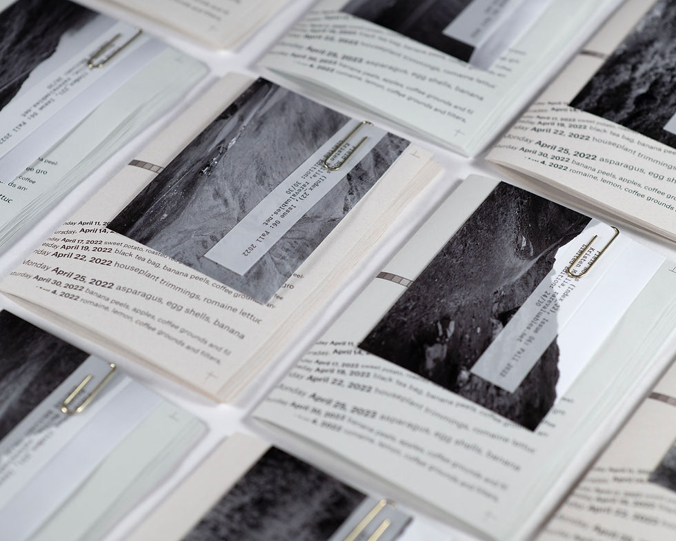 Thumbnail: Field Notes (Index_22): Issue 06