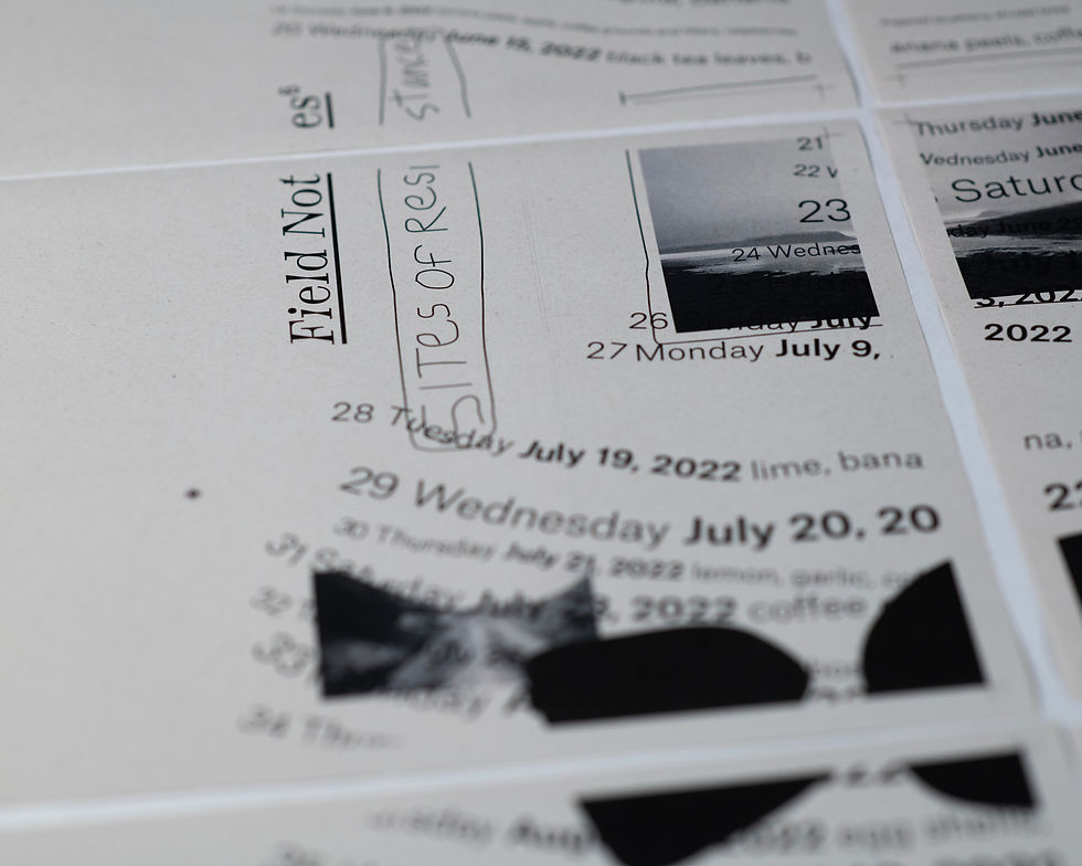 Thumbnail: Field Notes (Index_22): Issue 06