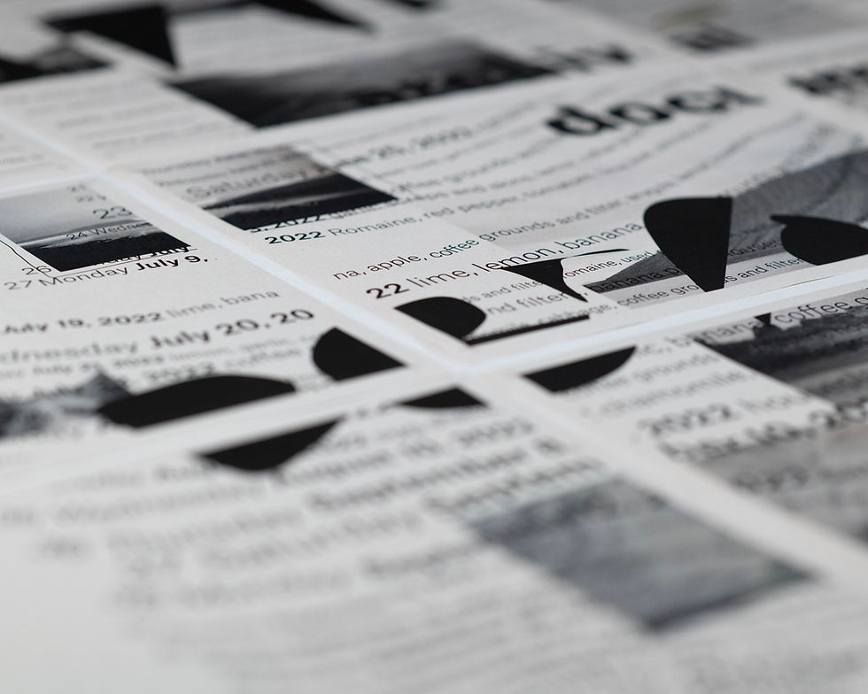 Thumbnail: Field Notes (Index_22): Issue 06