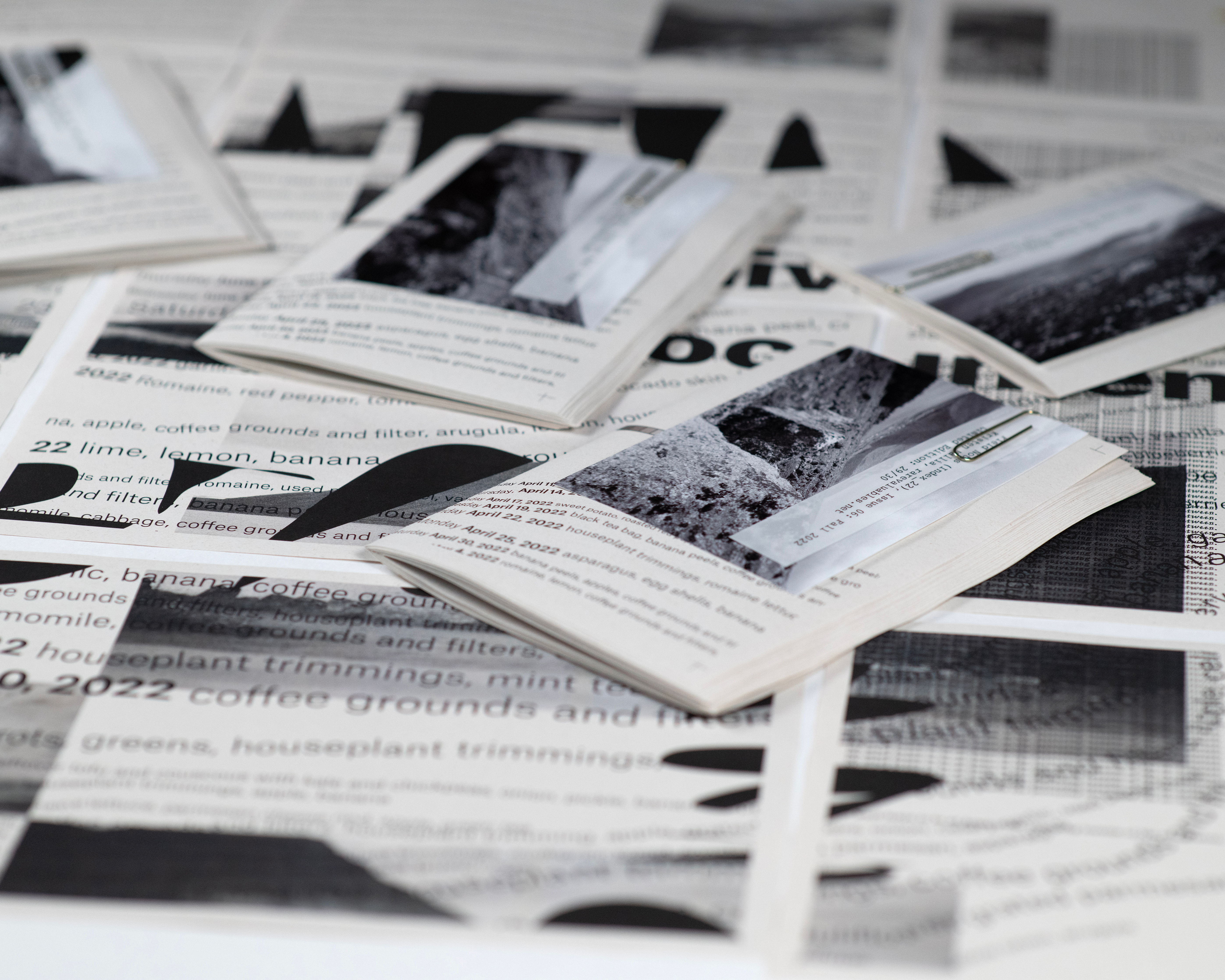 Field Notes (Index_22): Issue 06