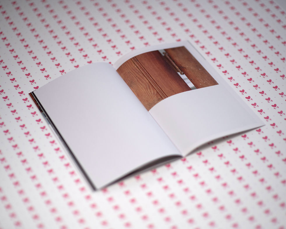 Thumbnail: Field Notes (Index_23): Issue 10