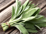 Pflanzliche Therapie bei Wechselbeschwerden