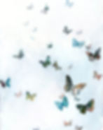 Atmospheric original contemporary acrylic painting of butterflies and butterfly by Tracey Lane Atlanta artist